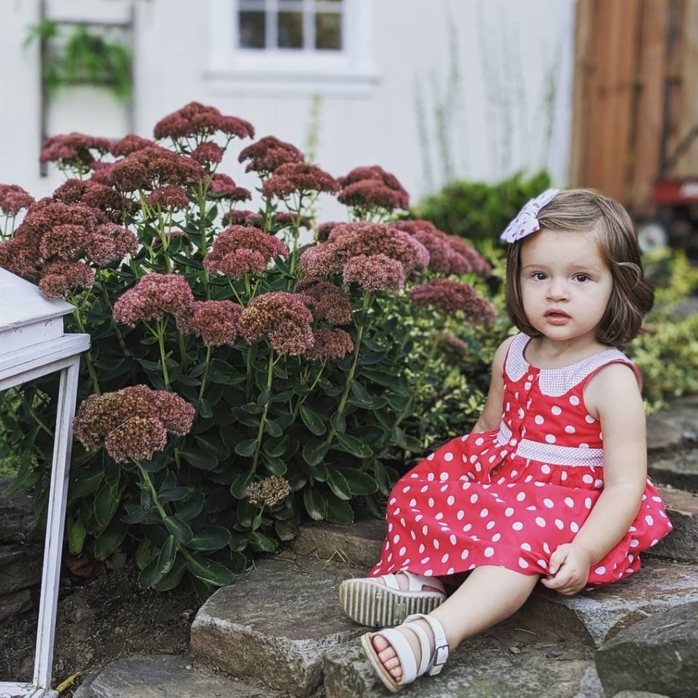 Janie and Jack sleeveless dress
